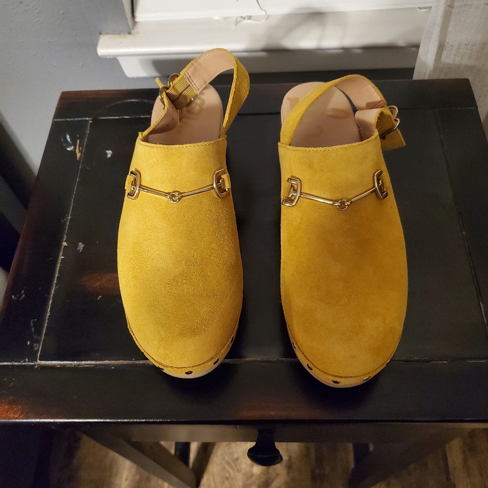 Clogs. Worn only once. Size 9
